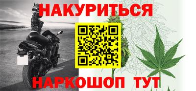 гидра Бердск