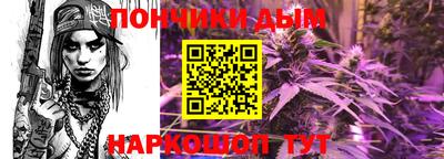 гидра Бердск