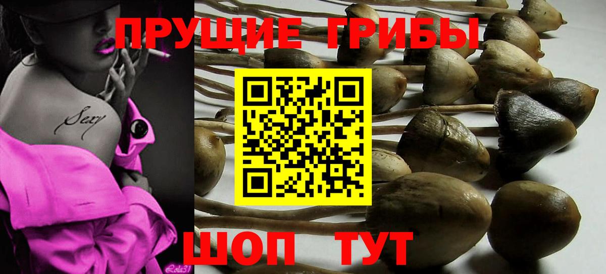 даркнет сайт  Псилоцибиновые грибы MAGIC MUSHROOMS  Вход с VPN  Избербаш 